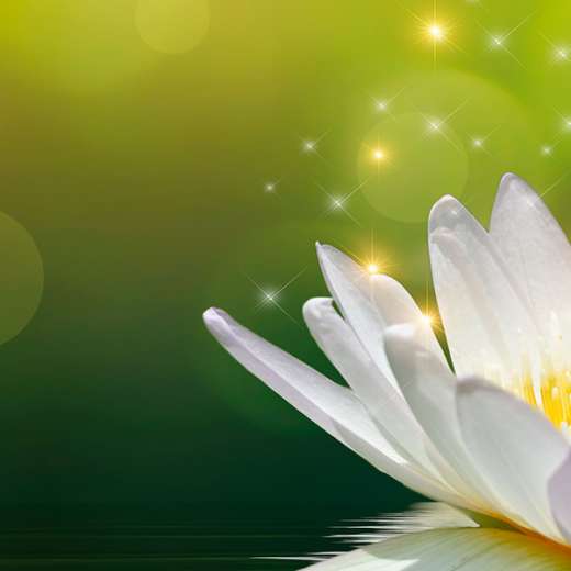 formation-reiki-bordeaux-merignac