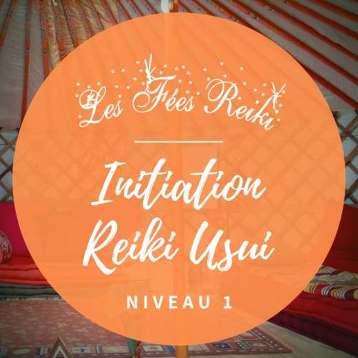 formation reiki niveau 1 a bordeaux